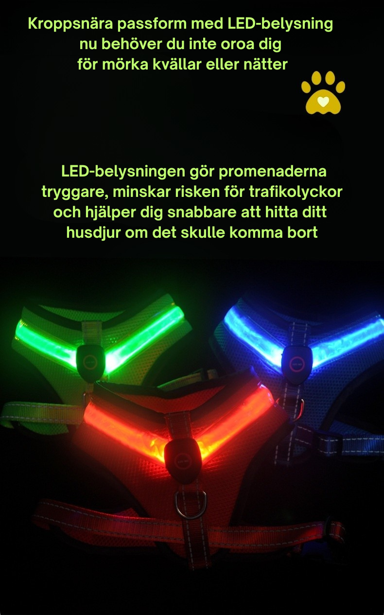 LED Hundsele – USB-laddningsbar & Reflekterande