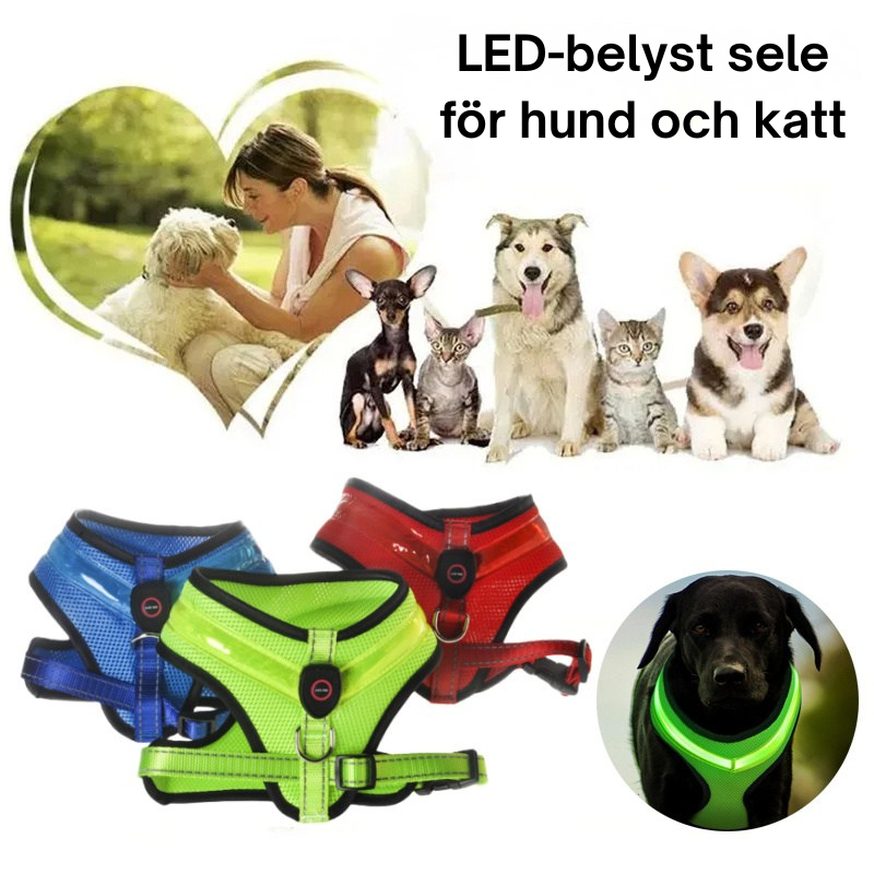 LED Hundsele – USB-laddningsbar & Reflekterande