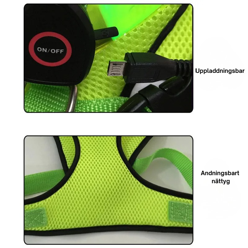 LED Hundsele – USB-laddningsbar & Reflekterande