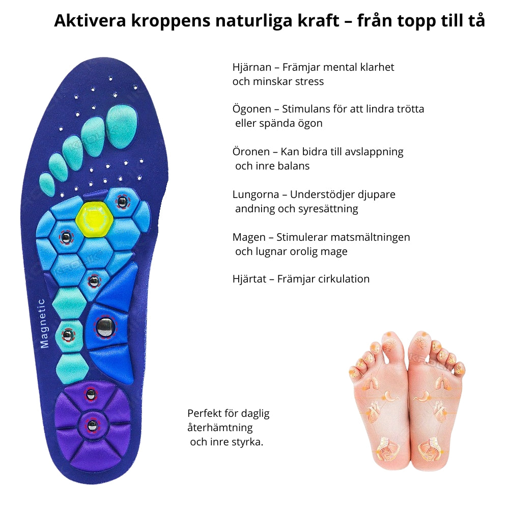 Magnetiska Inläggssulor med Hälsofrämjande effekt