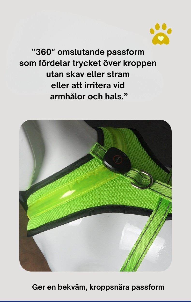 LED Hundsele – USB-laddningsbar & Reflekterande